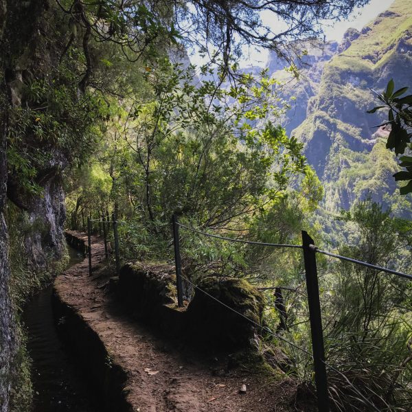 Madeira- Levada