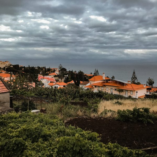 Canical, Madeira